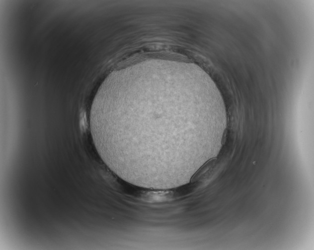 X0000087640089200705311334