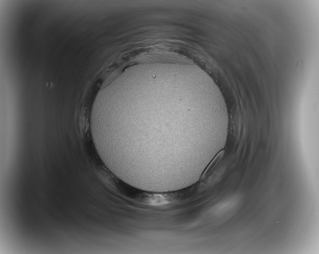 X0000087640091200705311334