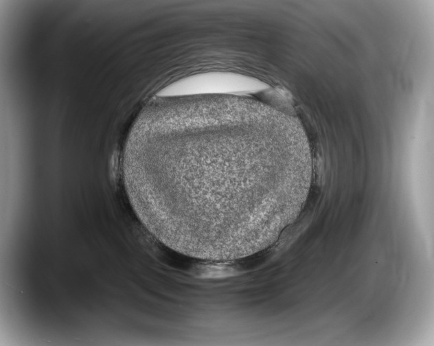 X0000087640093200705311334