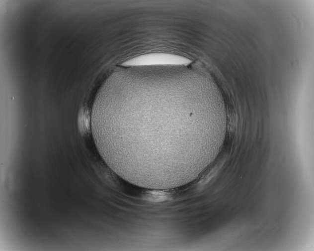 X0000087640095200705311334