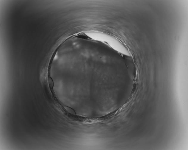 X0000087640099200705311334