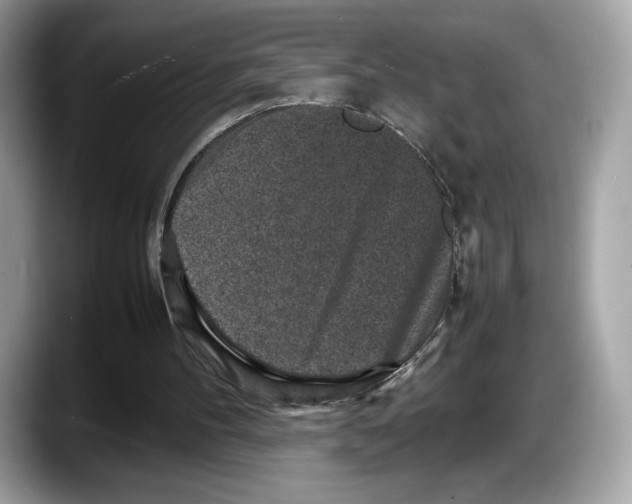 X0000087640100200705311334