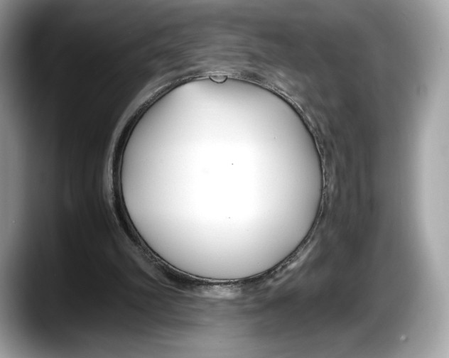 X0000087640102200705311334