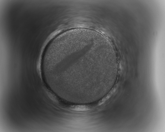 X0000087640104200705311334