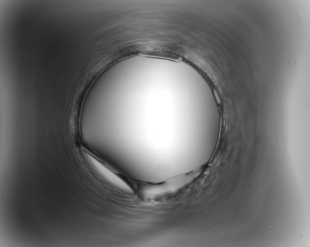 X0000087640105200705311334