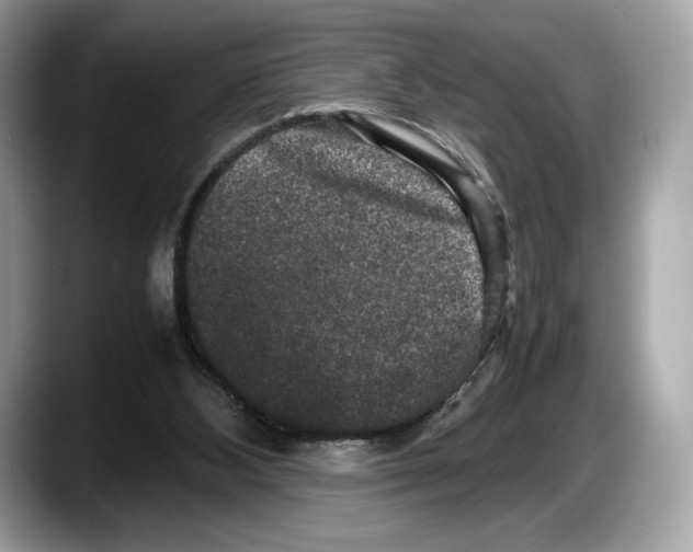 X0000087640108200705311334