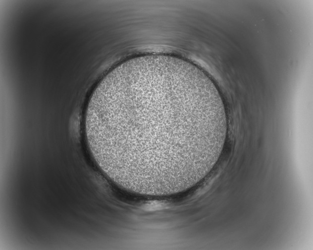 X0000087640111200705311334