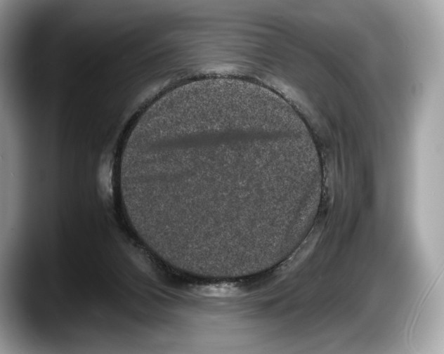 X0000087640112200705311334