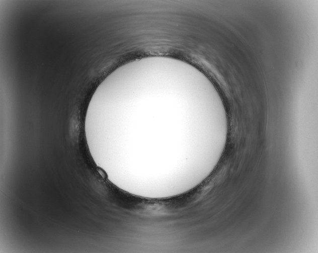 X0000087640113200705311334