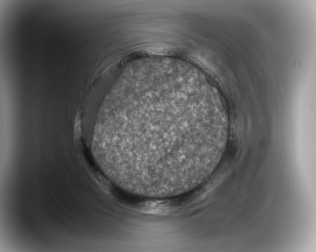 X0000087640117200705311334