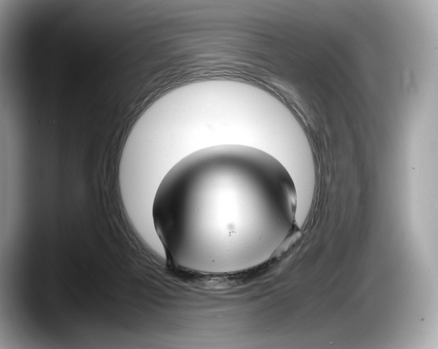 X0000087640121200705311333