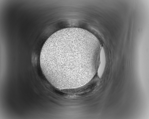 X0000087640123200705311333