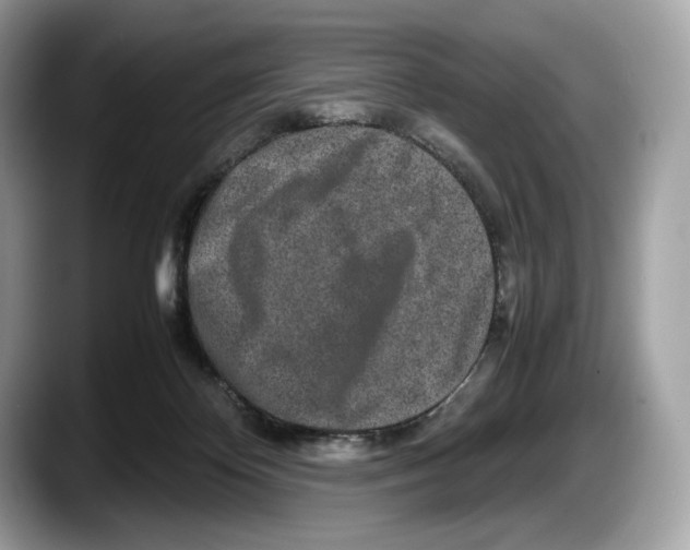 X0000087640124200705311333