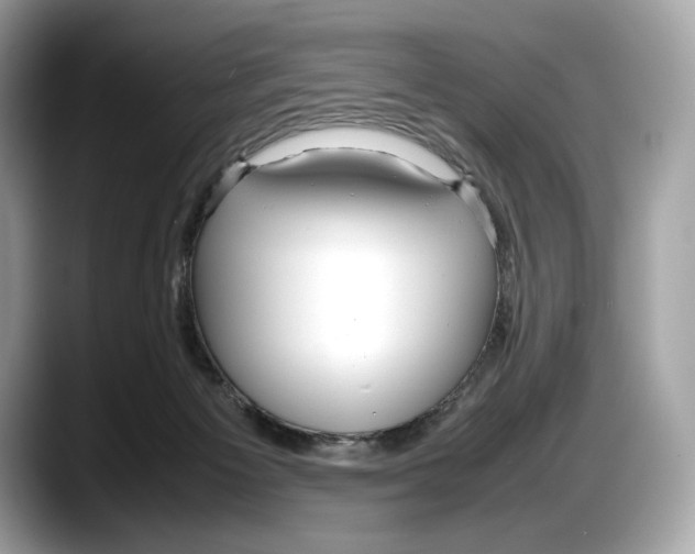 X0000087640125200705311333