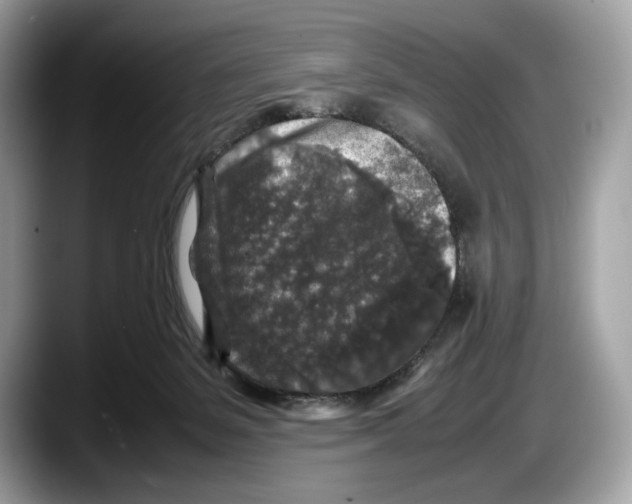 X0000087640127200705311333