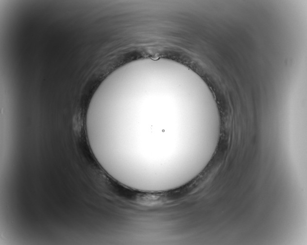 X0000087640129200705311333