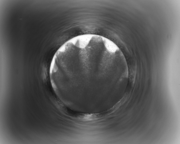 X0000087640130200705311333