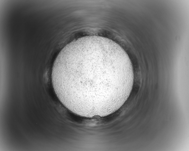 X0000087640131200705311333