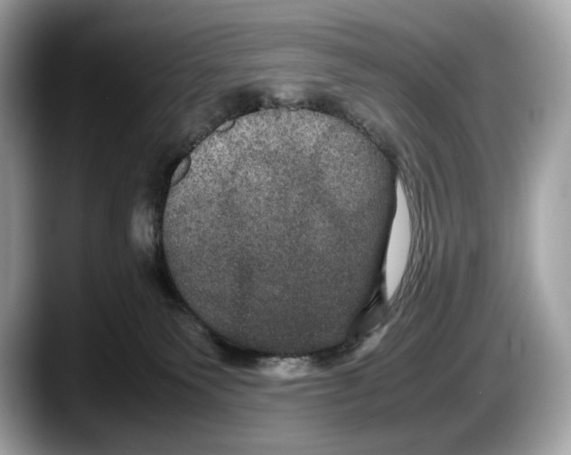 X0000087640135200705311333