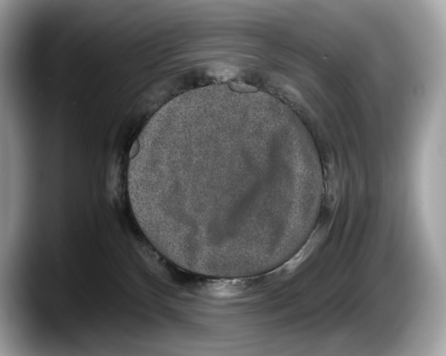 X0000087640136200705311333