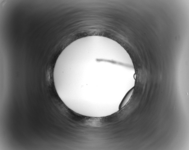 X0000087640138200705311333