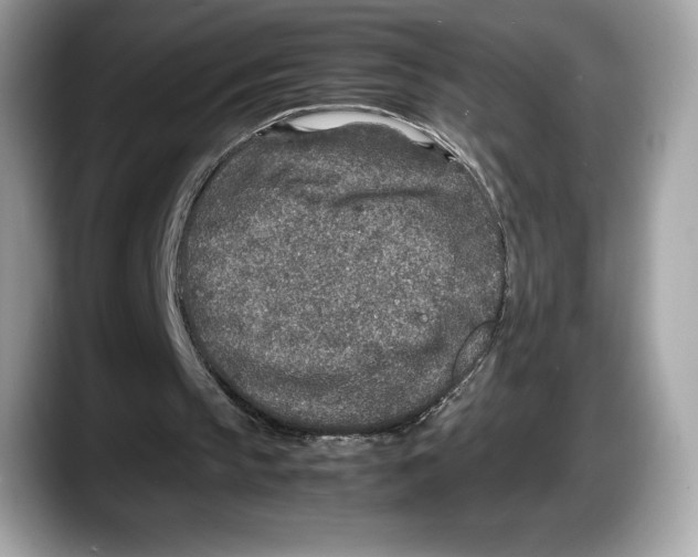 X0000087640145200705311333