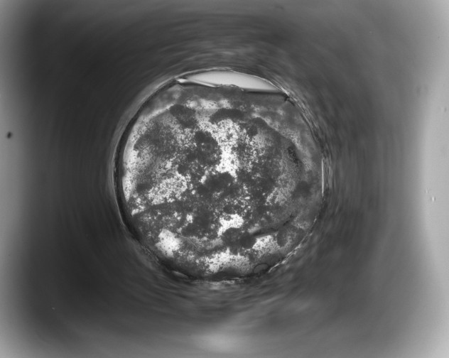 X0000087640147200705311333