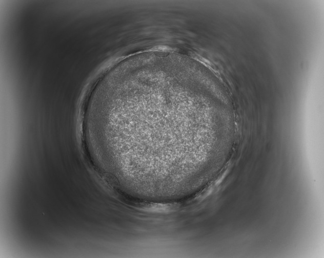 X0000087640149200705311333