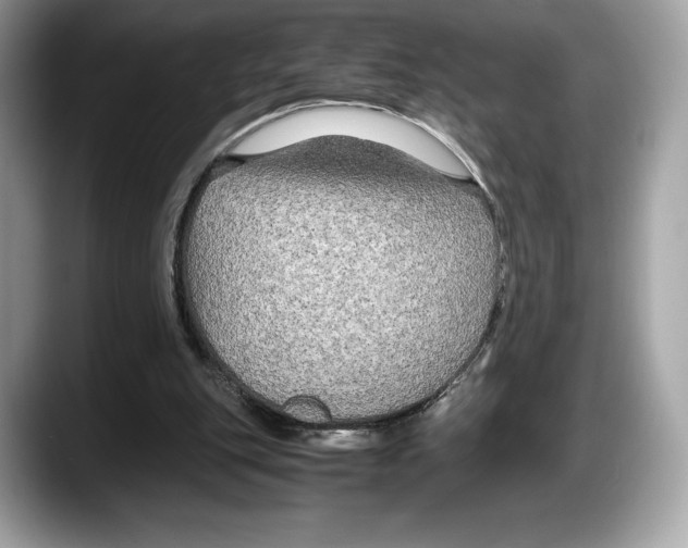 X0000087640151200705311333