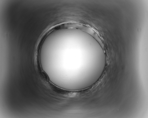 X0000087640152200705311333