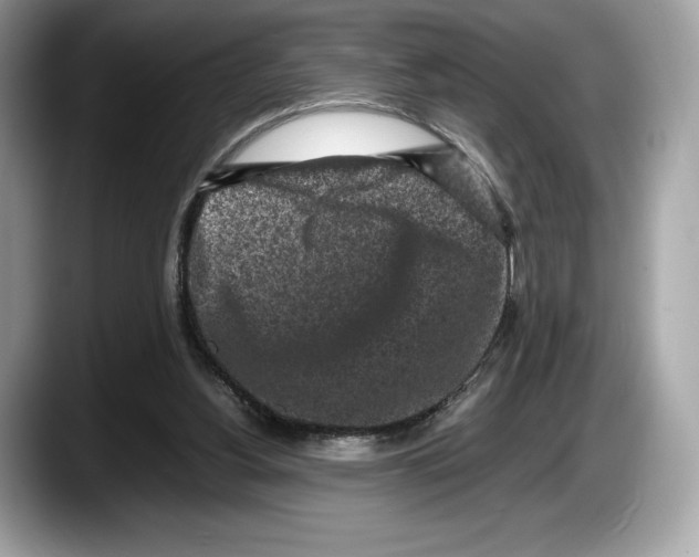 X0000087640156200705311333