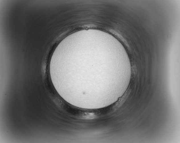 X0000087640159200705311333