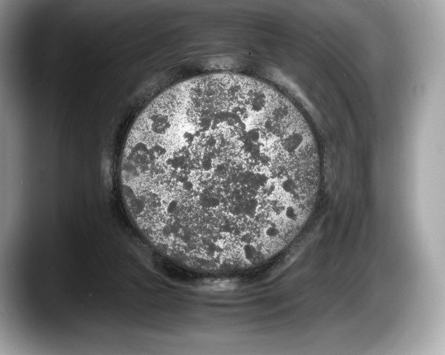 X0000087640161200705311333