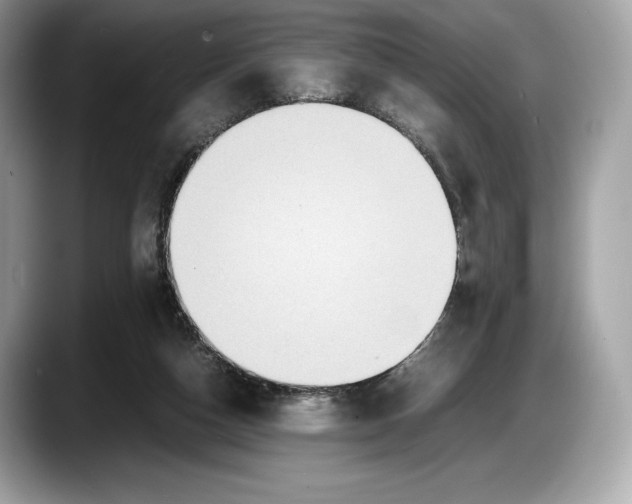 X0000087640162200705311333