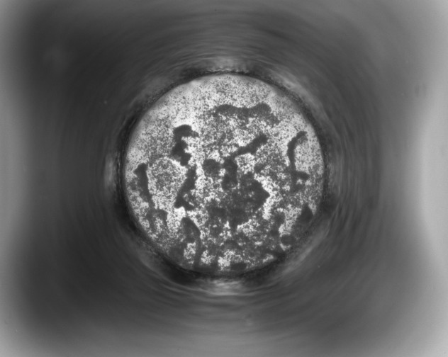 X0000087640165200705311333