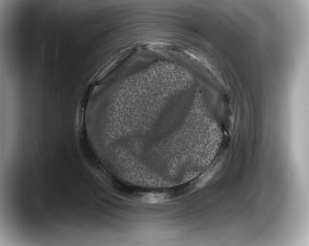 X0000087640168200705311333