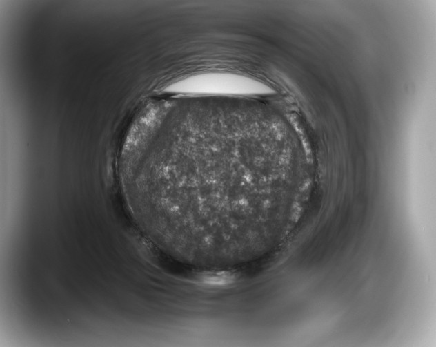 X0000087640169200705311333