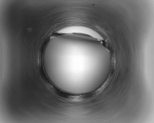 X0000087640170200705311333