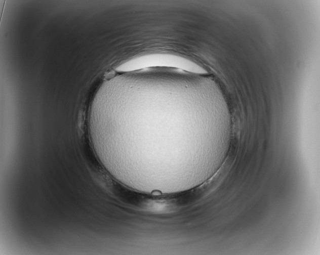 X0000087640171200705311333