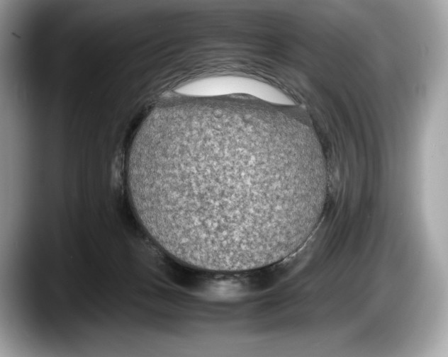 X0000087640175200705311333