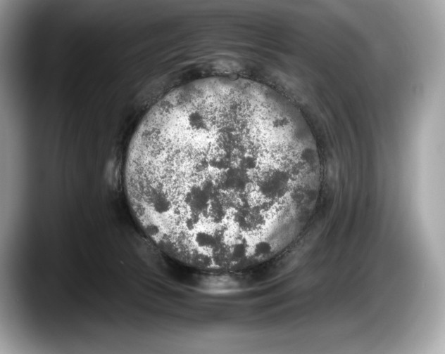 X0000087640177200705311333