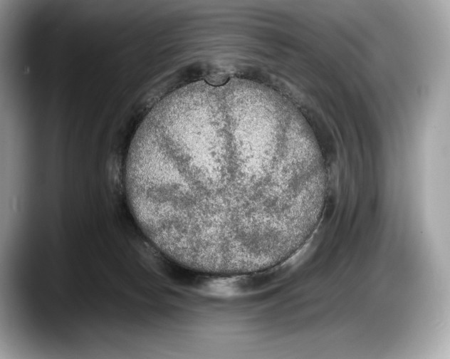 X0000087640178200705311333