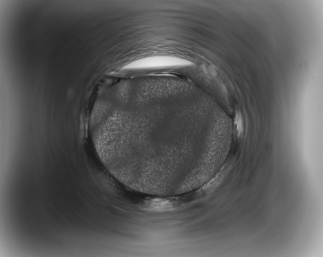 X0000087640180200705311333