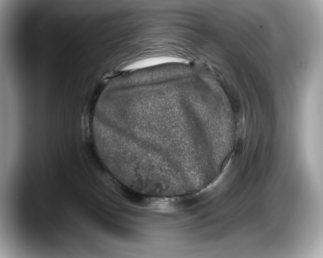 X0000087640182200705311333