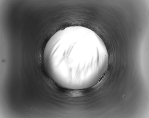 X0000087640183200705311333