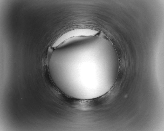 X0000087640184200705311333