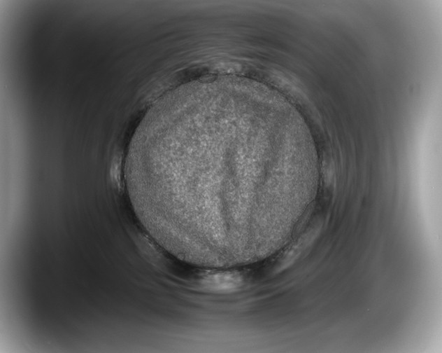 X0000087640185200705311333