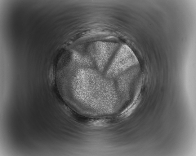 X0000087640186200705311333