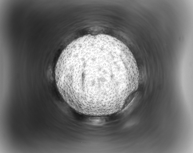 X0000087640187200705311333