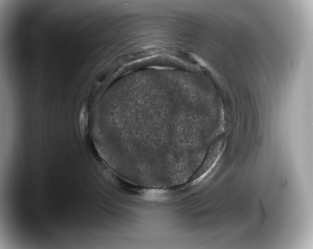 X0000087640192200705311333